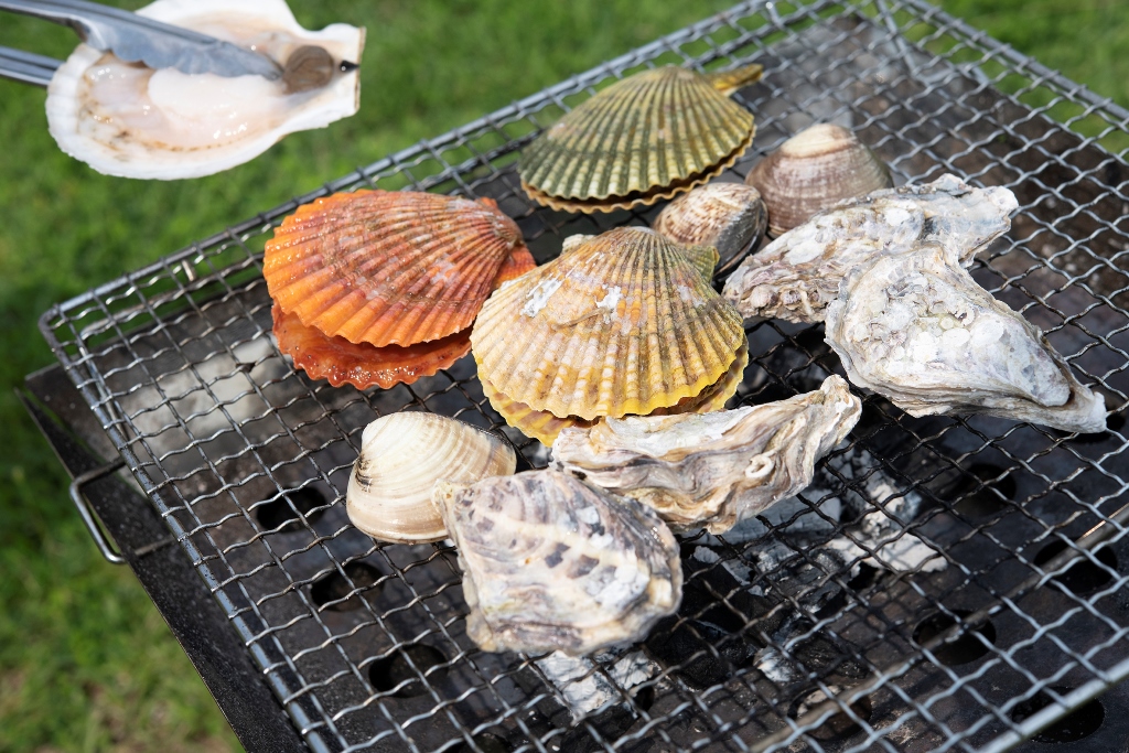 海に囲まれた宇土半島で 絶景とキャンプとクラフトビールの旅 ROUTe